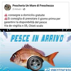 Pescheria Un Mare di Freschezza