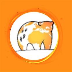Bari-Palese I Viaggi dell' Orso
