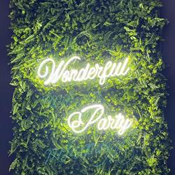 Wonderful Party Sala Feste