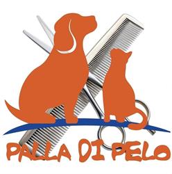 PALLA di PELO