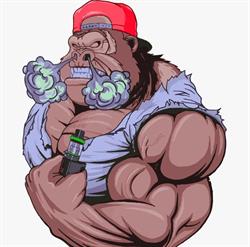 FumononFumo Gaglianico