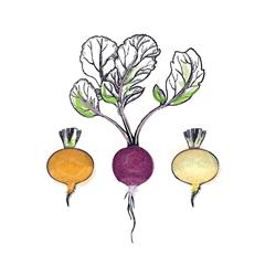 Radici Osteria Contemporanea