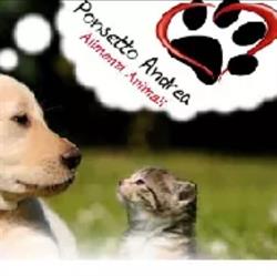 Ponsetto Andrea