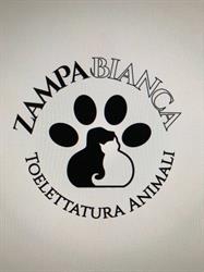 Toelettatura Zampa bianca