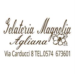 Gelateria Magnolia