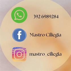 Mastro Ciliegia LUCCA