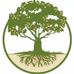 L'Albero Della Vita Erboristeria