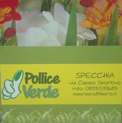 Pollice Verde