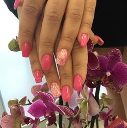 Estetica MD