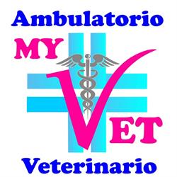 Ambulatorio Veterinario MyVet