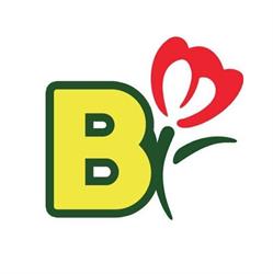 Blooms Italia