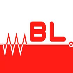 Bertocchi Luca