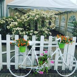 Caffè La Bicicletta
