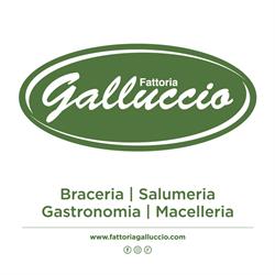 Fattoria Galluccio