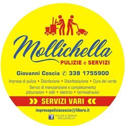 Mollichella Pulizie e Servizi di Giovanni Coscia