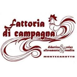 Fattoria di campagna