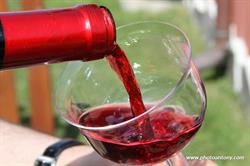 Domus Vini