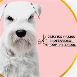 Toe Castelletto