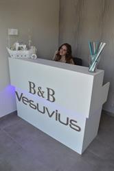B&B Vesuvius Napoli