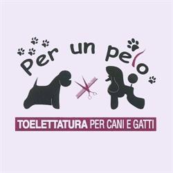 Per un pelo Tricase