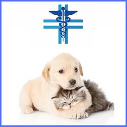 Ambulatorio Veterinario Dott. Salvatore Taronna