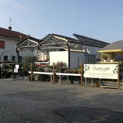Società Agricola Agriflora s.s.