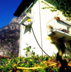 I Gemelli della Val Codera Casa vacanze
