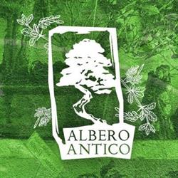 Albero Antico Bonsai Roma
