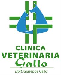 Clinica Veterinaria Gallo