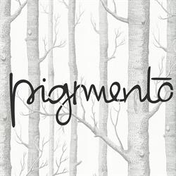 Pigmento