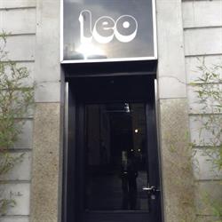 Leo acconciature