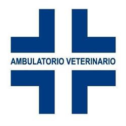 Ambulatorio Veterinario