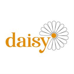 Daisy cartoleria