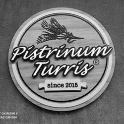 Pistrinum Turris di Lorenzo Temporiti