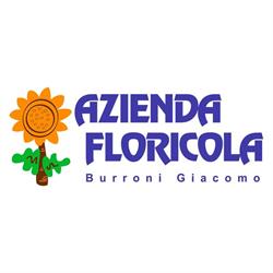 Azienda Floricola Burroni Giacomo piante e fiori Versilia