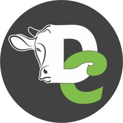 Domitia Carni Di Pecoraro Ilenya
