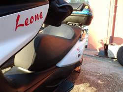 Moto giovani leoni