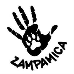 Zampamica Toelettatura Professionale