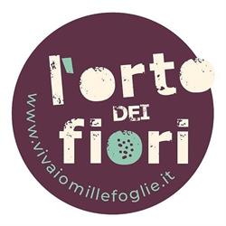 Vivaio Millefoglie