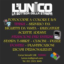 L'unico