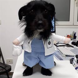 VET for PET Ambulatorio Veterinario