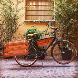 New Dandy Sartoria Bologna