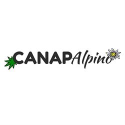 Canapalpino