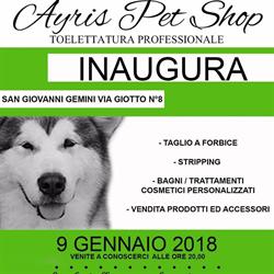 Ayris Pet Shop