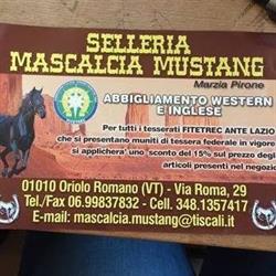 Selleria Mascalcia Mustang