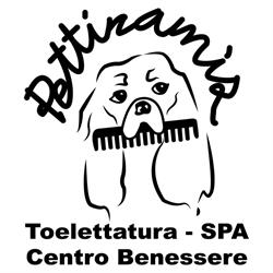 Pettinamìs