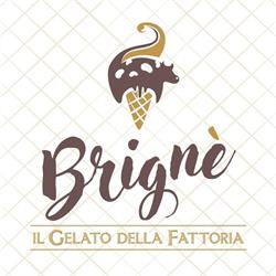 Brignè - Il gelato della fattoria