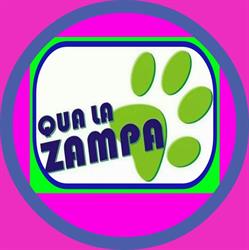 Qua la zampa