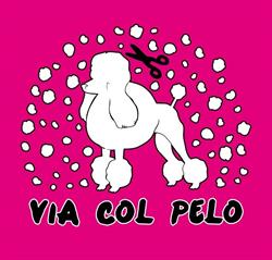 Toelettatura Via col Pelo