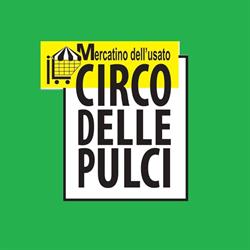 Il Circo Delle Pulci